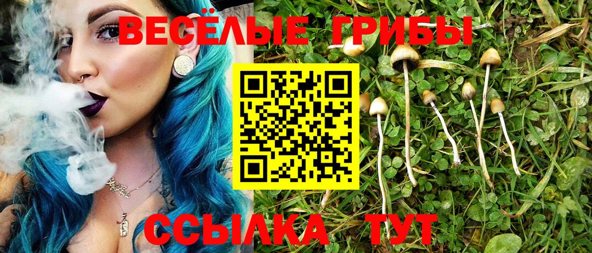 Галлюциногенные грибы Psilocybine cubensis  наркота  Заволжье  Вход с VPN  Галлюциногенные грибы ЛСД 